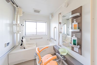 Accessible Bathroom Renovation detail
